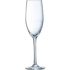 Champagneglass på salg ARC - Champagneglass 24cl