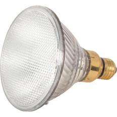 Halogen Lamps Satco Satco 70 W PAR38 Floodlight Halogen Bulb 1,380 lm Warm White 1 pk