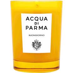 Amarillo Velas Aromáticas Acqua Di Parma Buongiorno Candle 7 oz Vela Aromática