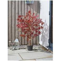 Red Christmas Trees Smart Garden Solar Red Acer Tree 120 Cm Christmas Tree