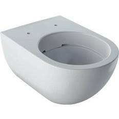 Toilettes Geberit Acanto (500.600.01.2)