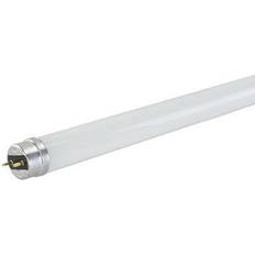 Megaman LED Lysrør T8 16W 4000K 1700lm 1200mm M-LT200160-2