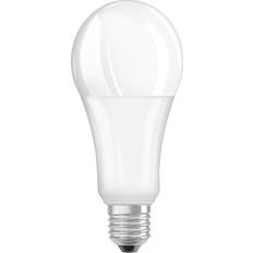 LEDs Osram LED Star 19-W E27