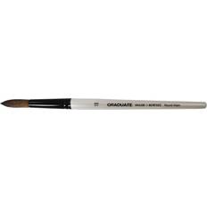Daler Rowney Akrylpensel Graduate Tagel/Syntetisk Rund Wash