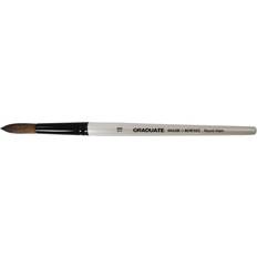 Accessori per la pittura Daler Rowney Graduate Brush Pony Synthetic Round Wash 18, none