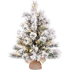 Transparant Kerstbomen Black Box (41 x 60 cm)