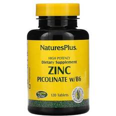 Nature's Plus Zinc Picolinate w/B-6, 120 Tablets