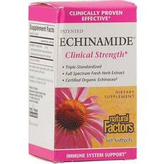 Natural Factors Patented Echinamide, 60 Softgels 60 pcs