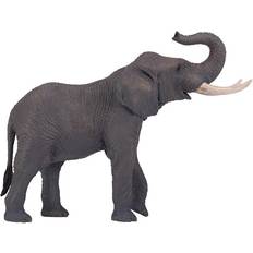 Mojo African Bull Elephant