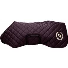 Dog Coat Haze Collection
