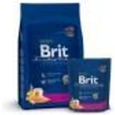 Brit Katze - Trockenfutter Haustiere Brit Tørt kattefoder PREMIUM BY NATURE ADULT Laks 300