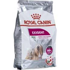 Royal Canin Hunder Husdyr Royal Canin Mini Exigent 3 3kg