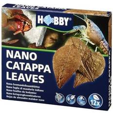 Catappa Leaves Nano Brun