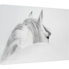 Estancia Tavlor Estancia Canvas Horse White Tavla