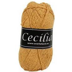 Cecilia 110m