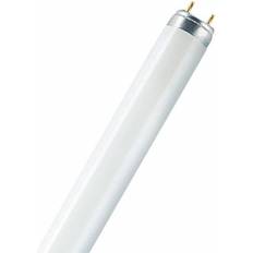 Osram 4050300336763 L 36w/840 10x1 Lf Tg A-crp