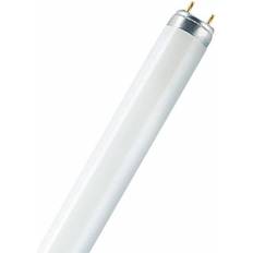 Osram Leuchtstoffröhren Osram Leuchtstoffröhre G13 36W neutralweiß dimmbar, weiß matt 0773702655