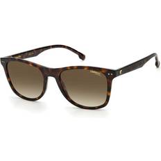 Carrera 2022T/S 086/HA
