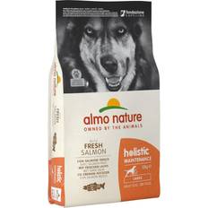 Holistic Almo Nature Adult Large Laks & Ris 2 x 12 kg