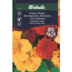 Weibulls Krasse Glorious Gleam Mix Blomsterfrø