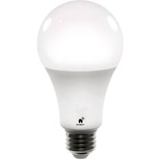 Qnect LED-lampor Qnect Smart bulb, E27, White CCT, WiFi