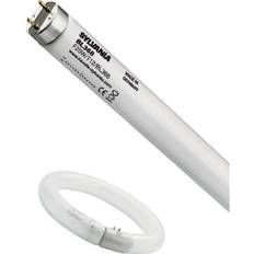 BL368 T12 20W Blacklight 60cm