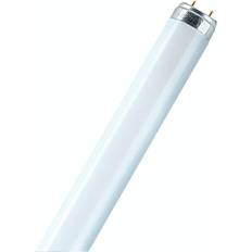 T8 g13 840 Osram Leuchtstoffröhre T8 L 58W/840 G13 58W 151,42 cm neutralweiß 0773702656