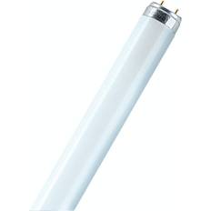 Fluorescent Lamps on sale Osram Sylvania LUMILUX Fluorescent Tube 58 W 5200 lm Cool White Light