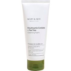 Houttuynia Cordata Tea Tree Cleansing Foam