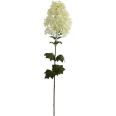 Flowers White Peegee Hydrangea Stem, 2ct. MichaelsÂ White One Size