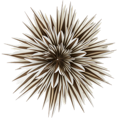 Jotex Spica Julstjärna ∅ 64cm