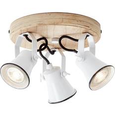 Brilliant Seed Takplafond