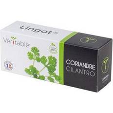 Veritable Cilantro Lingot Plantesæt
