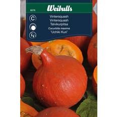 Siemenet Weibulls Pumpa Uchiki Kuri