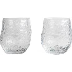 Byon Swan Drinking Glass 42cl 2pcs