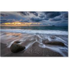 Interior Details Trademark Fine Art Mathieu Rivrin The Song of Water 16" x 24" Canvas Print Wall Decor