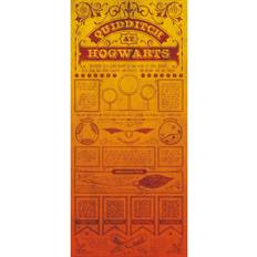 Posters Fanattik Harry Potter Quidditch Poster 29x41cm