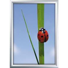 50 cm Rammer DSI Standard snapramme 50x70cm. 25mm. profil Ramme