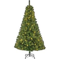 Black Box S7903790 Christmas Tree 185cm