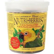 Classic Nutri-Berries Pet Bird Food for Conures 10