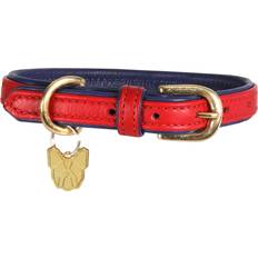 Shires Digby & Fox Padded Leather Dog Collar Scarlett
