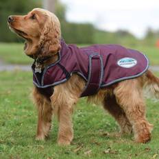 Weatherbeeta ComFiTec Windbreaker Free Deluxe Dog Coat 30