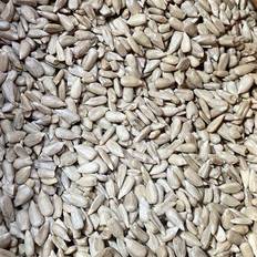 Shelled Sunflower