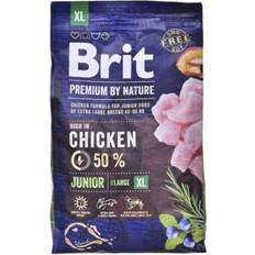 Brit junior Brit Premium JUNIOR XL 3
