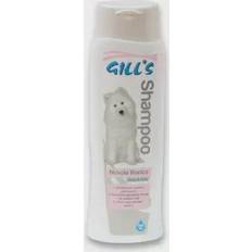 Gill Croci C3052986 Gill's Shampoo vitt