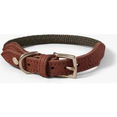 Hundhalsband Torekov Shimmer Green Denjo Dogs