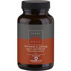 Supplementen Terranova Vitamin C 250mg Complex 100caps