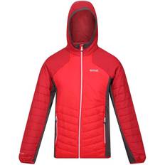 Regatta Men's Trutton Softshell Hooded Jacket