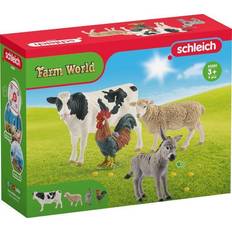 Oiseau Figurines Schleich Farm World Starter Set 42385