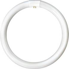 Circular Fluorescent Lamps Bell Triphosher Fluorescent Lamps 40W G10q